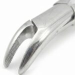 GDC American Forcep Pedo Universal Lower Primary Teeth & Roots # 151S (F151S) - Image 5