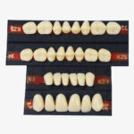 Premadent Teeth Set Cross Linked Acrylic Teeth - Image 11