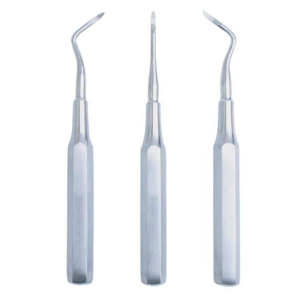 GDC Root Elevators Root Tip Pick Set Of 3 (Ehbs3)