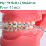 U Ortho E-Chain (15 ft) - Long Grey - Image 5