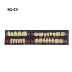 Premadent Teeth Set Cross Linked Acrylic Teeth - Image 4