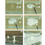 GDC Cement Mixing Spatula #1 (CS5) - Image 4