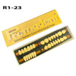 Premadent Teeth Set Cross Linked Acrylic Teeth - Image 10